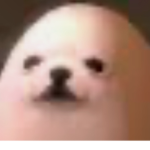 TheHarleyboy
