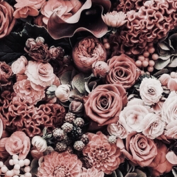♡