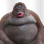 Big Jenny club