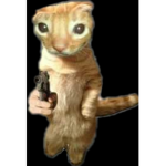 mr kitty clan