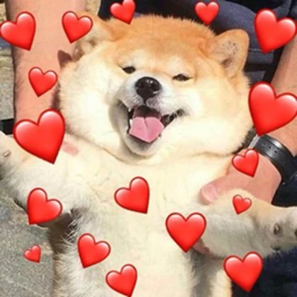 Shiba Studios/Clothing Roblox group icon