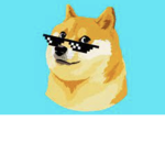Doge_ studios