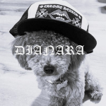 Dianara