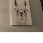 I spent Robux