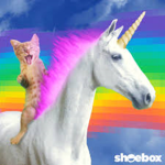 Estrella and Galaxy rainbow unicorn gang :3