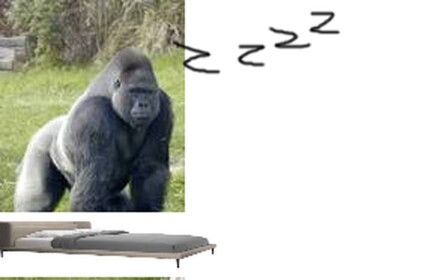 Raise Harambe