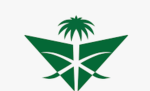 SV I Saudia