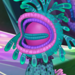 bonkle