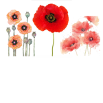 ~Poppy squad!~