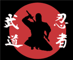Ninjas of the Dark Shadows