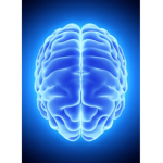 High IQ Gang