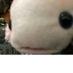 The Frendly Axolotls