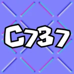 C737 Group Thumbnail