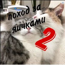 поход за яичками 2