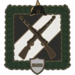[GIG] || Fuerzas de Protección