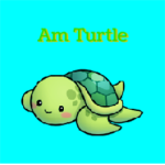 Turtle Studio72