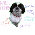 JoinMyDogsGroup:>
