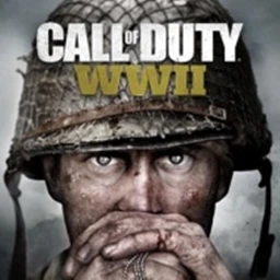 Call of Duty WW II icon