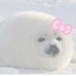 SEALZIEZ