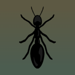 ants ugc+