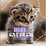Ellie's Cat Crew!
