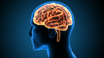 Groupe des gens intelligents