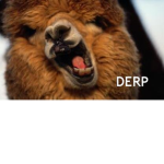 derp boys init