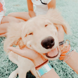 ° ｡ ˚