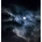 ~{Midnight'Clan}~