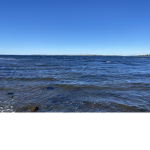 The mighty sea