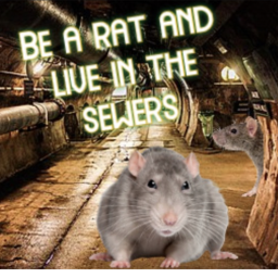 be a rat and live in the sewers