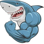 SHARK ARMY!!