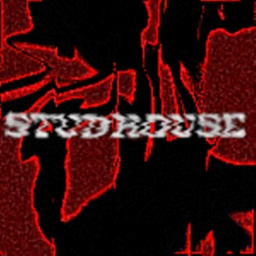 Stud House icon
