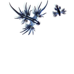 Weird animalsss