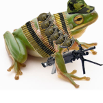 The Best FROG ARMY