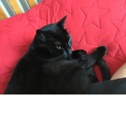Ye WaNt SoMeThInG?