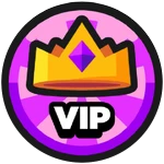 VIP Upgraders