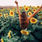 Sunflower_ sunshine