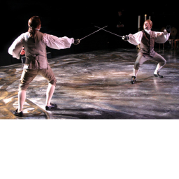 Sword Fight