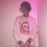 ･ﾟ: *✧･ﾟ:* ･ﾟ: