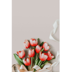 • Lili's tulips •