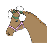 Beyond Beauty Arabians