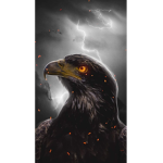 BLACKSTORM BR