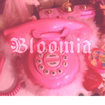 B.l.o.o.m.i.a