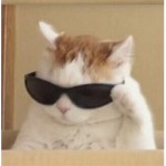 sam roblox :