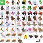 Pride pets website