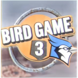 bird game 4