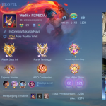WesinTP