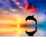 -~-xxSunset Avatar Shopxx-~-