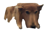 The Meme group (Because why not)